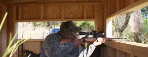 Inside hunting blind