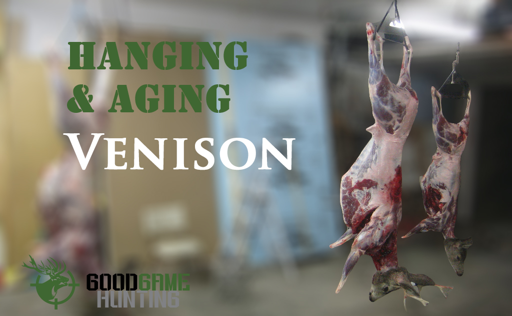Hanging & Aging Venison