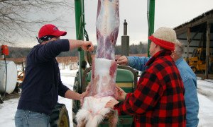 How to Skin a Deer