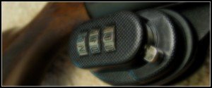 Gun Safety Common Locking Products