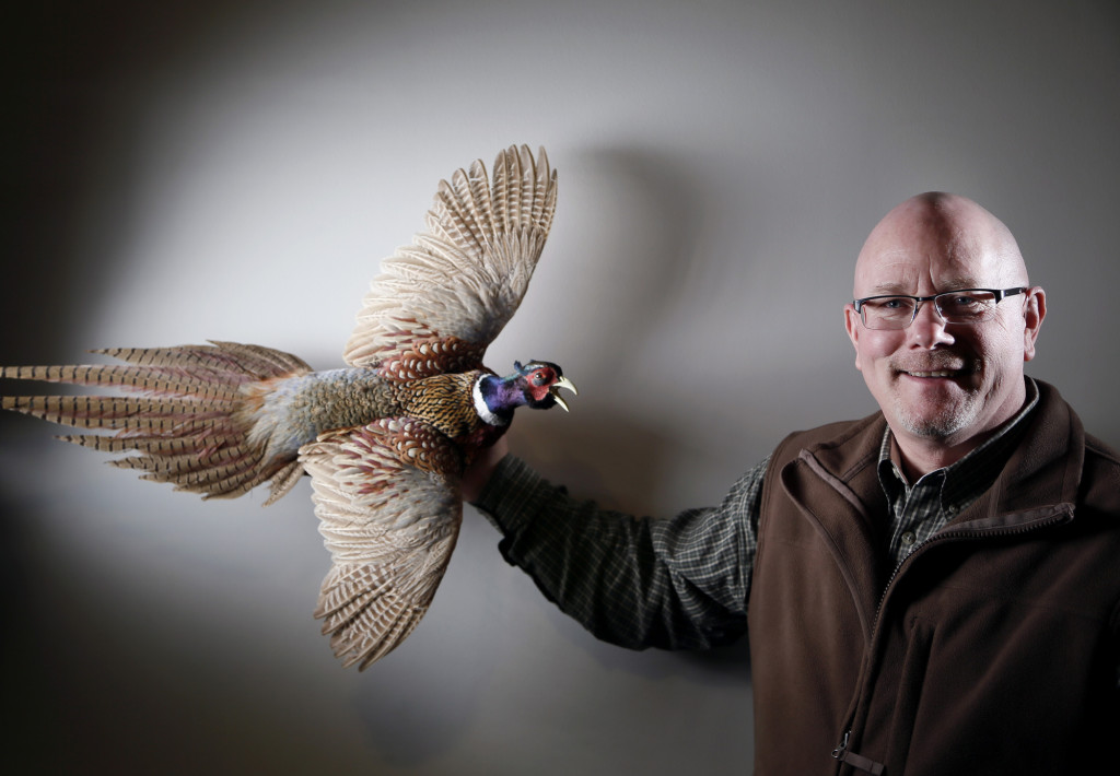 Kevin Lines heads Minnesota DNR pheasant group