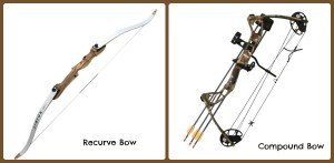 Recurve Bow vs Compound Bow