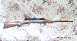 Best deer rifle for me