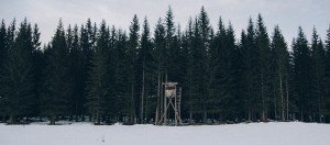 tree stand