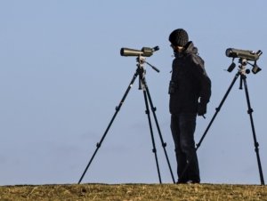 best spotting scope